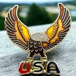 Vintage USA Bald Eagle Spreading Wings Hat Lapel Pin Patriotic Biker